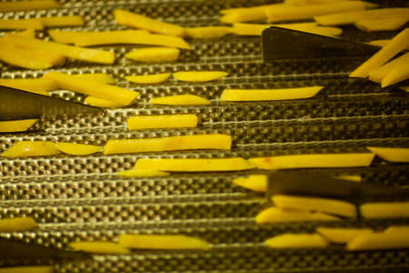 Production line of a potato factory. French fries - fast food.の写真素材