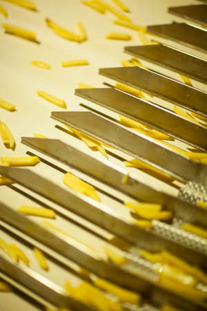 Production line of a potato factory. French fries - fast food.の写真素材