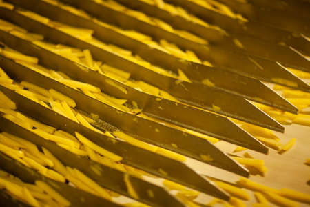 Production line of a potato factory. French fries - fast food.の写真素材