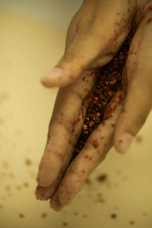 Human Hand sprinkling black pepper on pasta - making Raw and dry pasta on kitchen table -の写真素材