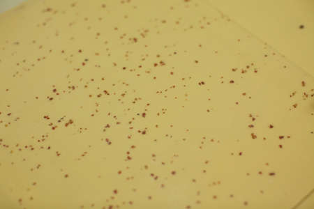 Raw and dry paste dough and flower close up details shotsの写真素材