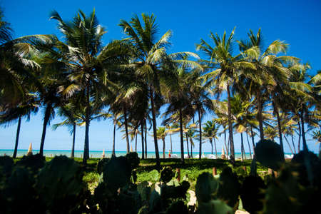 Empty beach view with no people ocean and seaの写真素材