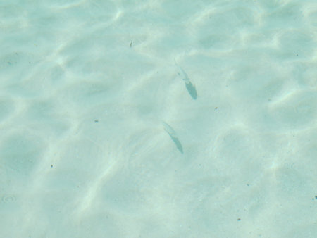 Empty beach view with no people ocean and sea --Caribbean seaの写真素材