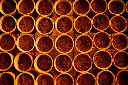 seeding in greenhouse. seeding plants greenhouse. seeding in greenhouse concept. plant seeding in greenhouse. new life.の写真素材