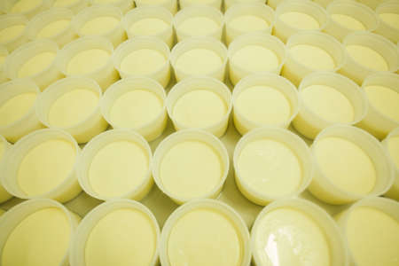 CHEESE AND MILK FACTORY. high quality photoの写真素材