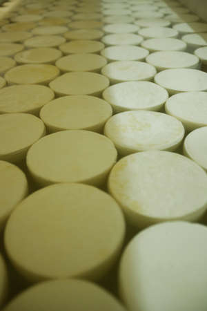 CHEESE AND MILK FACTORY. high quality photoの写真素材