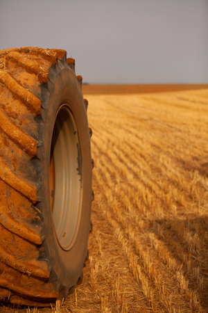 Combine harvester working on a potato field. Harvesting potatoes. agriculture concept High quality photoの写真素材