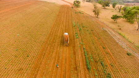 Combine harvester working on a potato field. Harvesting potatoes. agriculture concept High quality photoの写真素材