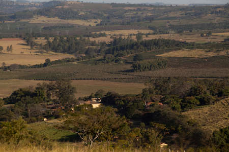 View of a coffee plantation in brazil, south america. high quality photoの写真素材