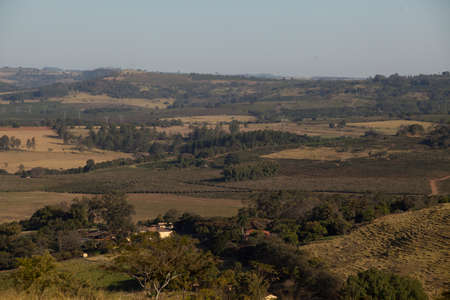 View of a coffee plantation in brazil, south america. high quality photoの写真素材