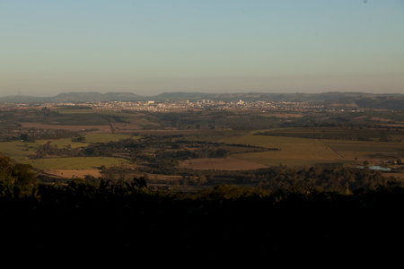 View of a coffee plantation in brazil, south america. high quality photoの写真素材