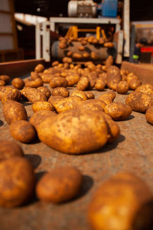 Factory interior. Chips production. Factory equipment, product manufacturing process. high quality photoの写真素材