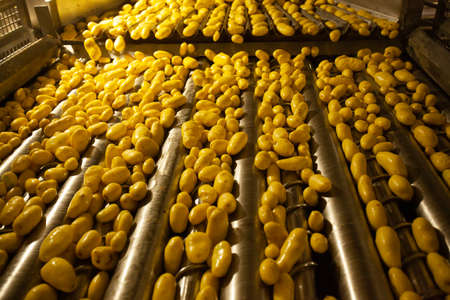 Factory interior. Chips production. Factory equipment, product manufacturing process. high quality photoの写真素材