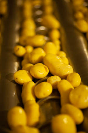 Factory interior. Chips production. Factory equipment, product manufacturing process. high quality photoの写真素材