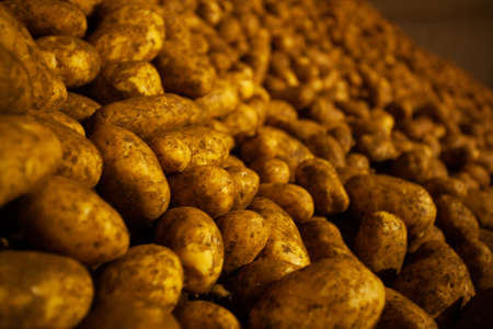 Factory interior. Chips production. Factory equipment, product manufacturing process. high quality photoの写真素材