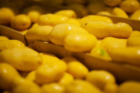 Factory interior. Chips production. Factory equipment, product manufacturing process. high quality photoの写真素材
