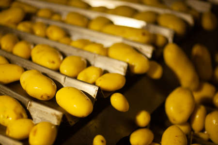 Factory interior. Chips production. Factory equipment, product manufacturing process. high quality photoの写真素材