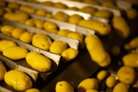 Factory interior. Chips production. Factory equipment, product manufacturing process. high quality photoの写真素材