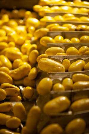 Factory interior. Chips production. Factory equipment, product manufacturing process. high quality photoの写真素材