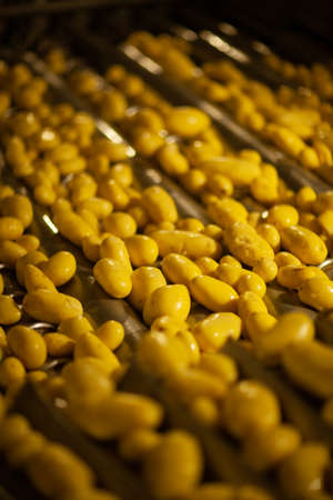 Factory interior. Chips production. Factory equipment, product manufacturing process. high quality photoの写真素材