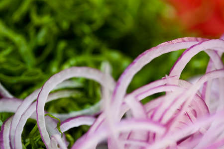 Tomatoes and onions on a kitchen cooking boards. Food background. high quality photoの写真素材