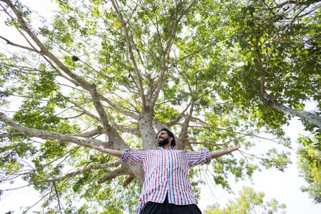 Portrait of smiling young man at a park on a beautiful sunny day. Man with open arms in front of a big a tree. Green and nature background. high quality photoの写真素材