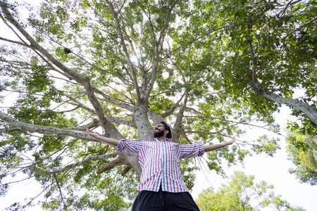 Portrait of smiling young man at a park on a beautiful sunny day. Man with open arms in front of a big a tree. Green and nature background. high quality photoの写真素材