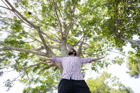 Portrait of smiling young man at a park on a beautiful sunny day. Man with open arms in front of a big a tree. Green and nature background. high quality photoの写真素材