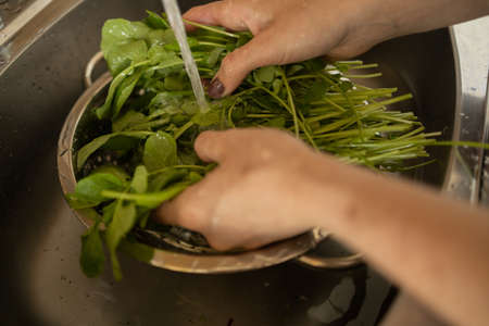 Happy and healthy young woman meal prepping whole vegetarian meal in the kitchen. High quality photo. Feel good, healthy and health concept.の写真素材