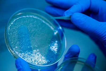 Production line pharmaceutical industry. Manufacturing of drugs and medications, pharmaceuticals. Technician, scientist works in a scientific laboratoryの写真素材