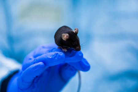 Production line pharmaceutical industry. Manufacturing of drugs and medications, pharmaceuticals. Technician, scientist works in a scientific laboratoryの写真素材