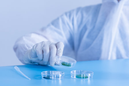 Production line pharmaceutical industry. Manufacturing of drugs and medications, pharmaceuticals. Laboratory Petri dish transparent biology plant green blue backgroundの写真素材