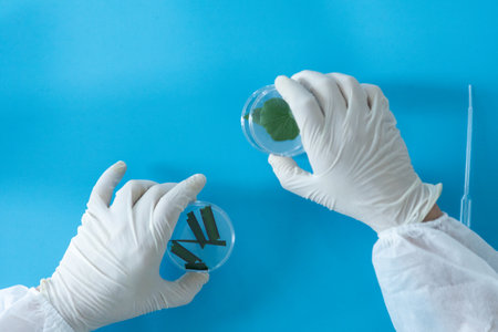 Production line pharmaceutical industry. Manufacturing of drugs and medications, pharmaceuticals. Laboratory Petri dish transparent biology plant green blue backgroundの写真素材