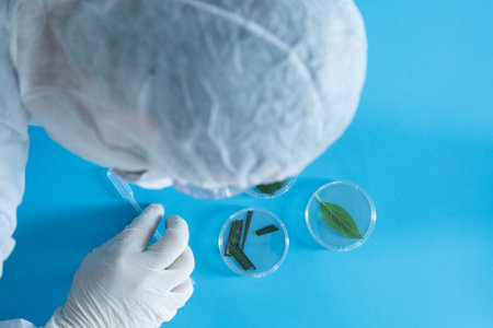 Production line pharmaceutical industry. Manufacturing of drugs and medications, pharmaceuticals. Laboratory Petri dish transparent biology plant green blue backgroundの写真素材
