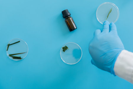 Production line pharmaceutical industry. Manufacturing of drugs and medications, pharmaceuticals. Laboratory gloves blue Petri dishの写真素材