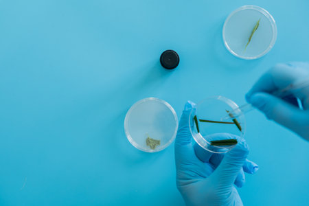 Production line pharmaceutical industry. Manufacturing of drugs and medications, pharmaceuticals. Laboratory gloves blue Petri dishの写真素材