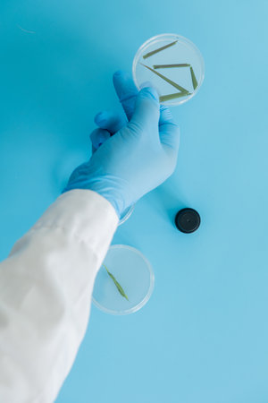 Laboratory gloves blue Petri dish