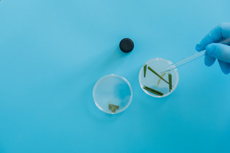 Production line pharmaceutical industry. Manufacturing of drugs and medications, pharmaceuticals. Laboratory gloves blue Petri dishの写真素材