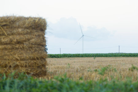 wind turbines farm, wind power generation equipment, clean energy concept, renewable energy