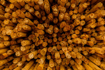 Massive stack of cut logs outdoors, representing forestry production and raw material processing.