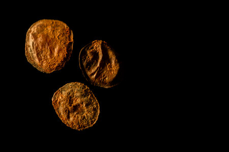 Three dried seeds of pau brasil wood tree photographed against a dark black background. The close-up...