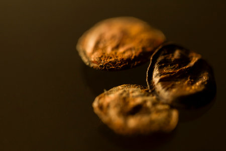 Three dried seeds of pau brasil wood tree photographed against a dark black background. The close-up...