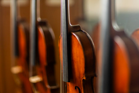 Close-up of violin instrument.の写真素材