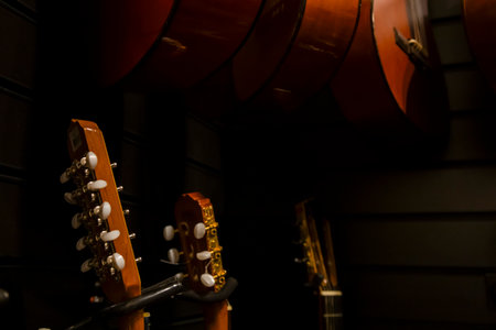 Close-up of violin.