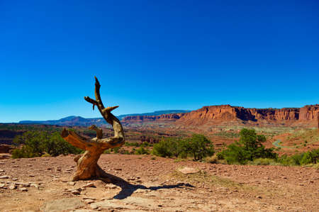 Beautiful views at Capitol Reef National Parkの写真素材