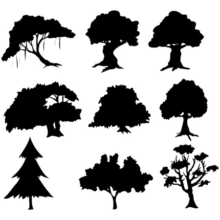tree collectionのイラスト素材