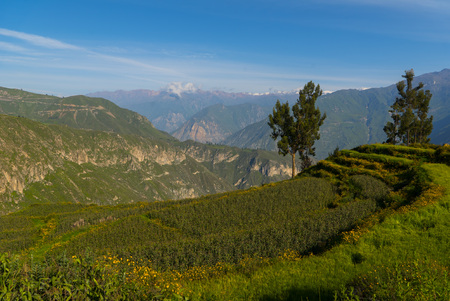 Arequipa Region Peruの写真素材
