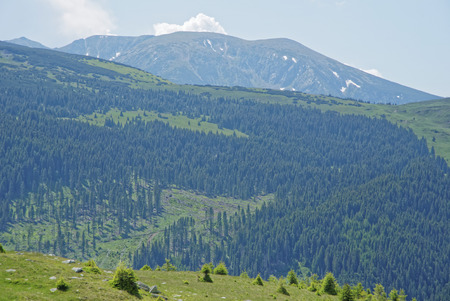Road trip true the wonderful nature and landscape of Romania
