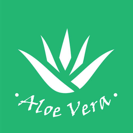 Set of aloe vera nature leaf icon , logo vector illustration.Vector beauty logotypesのイラスト素材