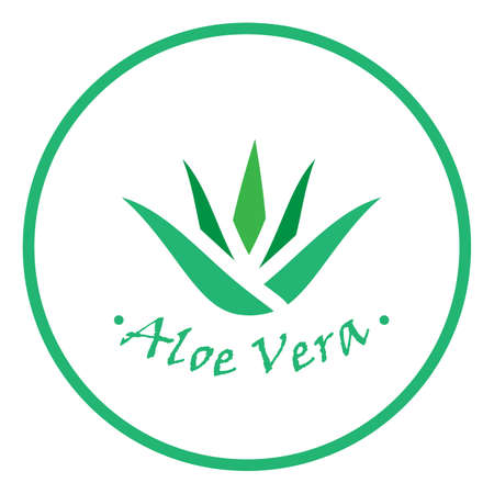 Set of aloe vera nature leaf icon , logo vector illustration.Vector beauty logotypesのイラスト素材